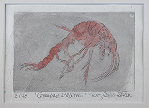 Radierung von Sandra Setzkorn: Flohkrebs